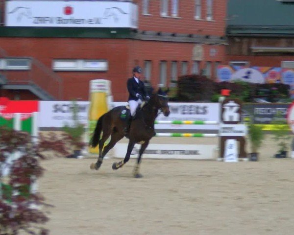 Reitturnier Borken 2024