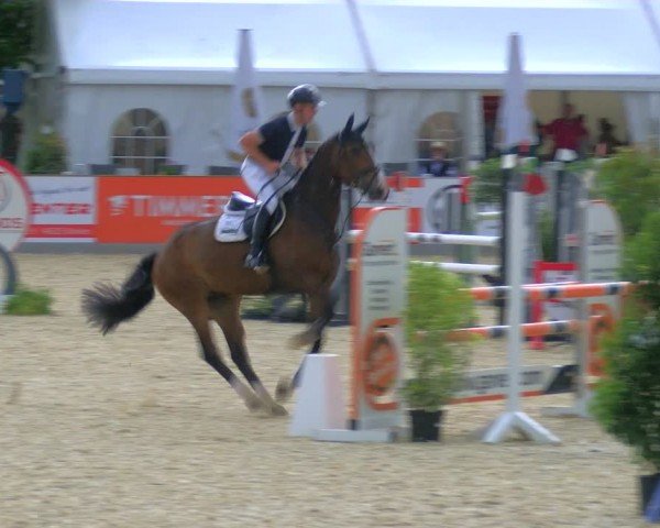 Reitturnier Borken 2024