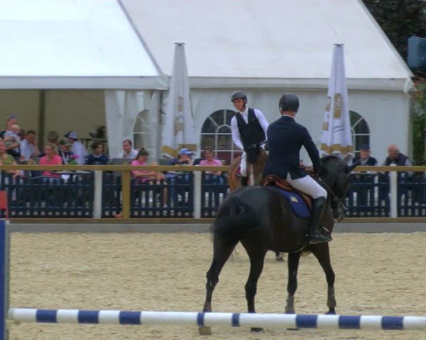 Reitturnier Borken 2024