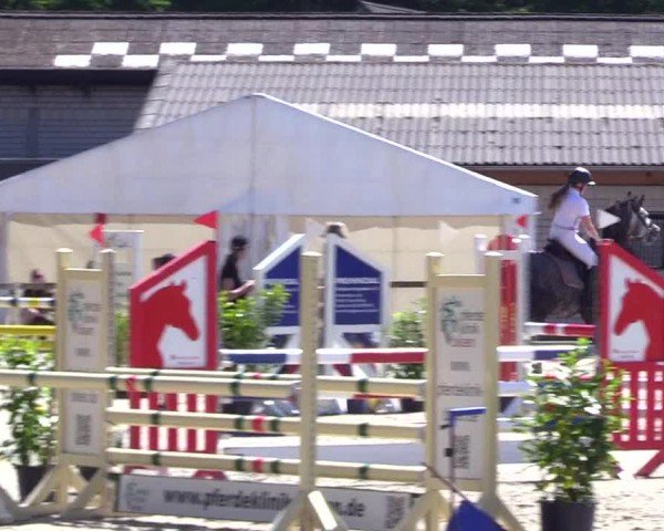 Reitturnier Kropp 2024