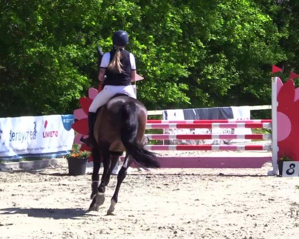 Reitturnier Kropp 2024