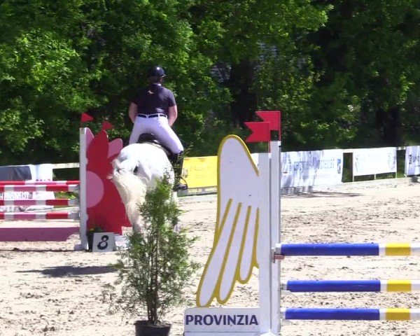 Reitturnier Kropp 2024