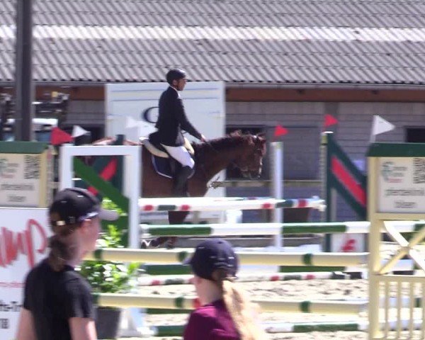 Reitturnier Kropp 2024
