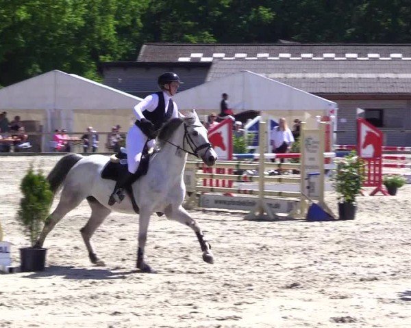 Reitturnier Kropp 2024