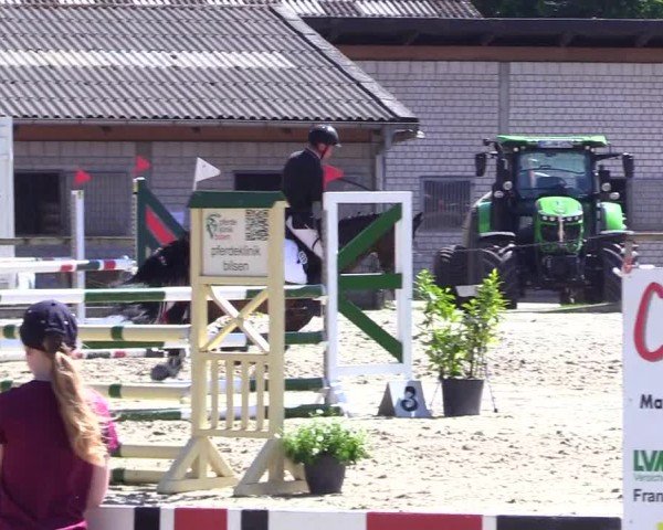Reitturnier Kropp 2024