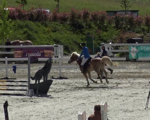 Reitturnier St. Margarethen 2024