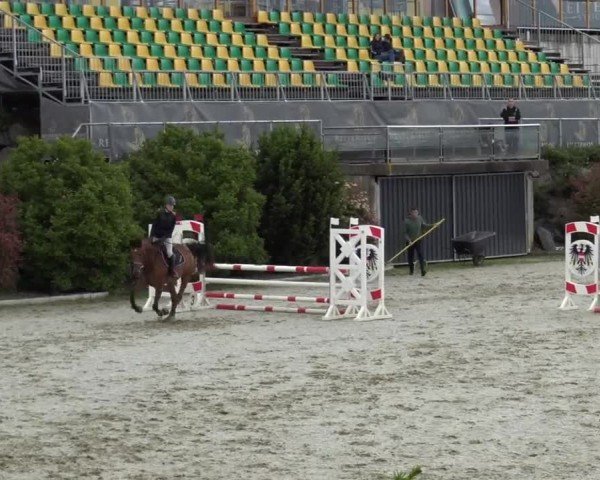 Reitturnier St. Margarethen 2024