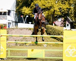 jumper Cato Boy (Hanoverian, 2014, from Commissario)