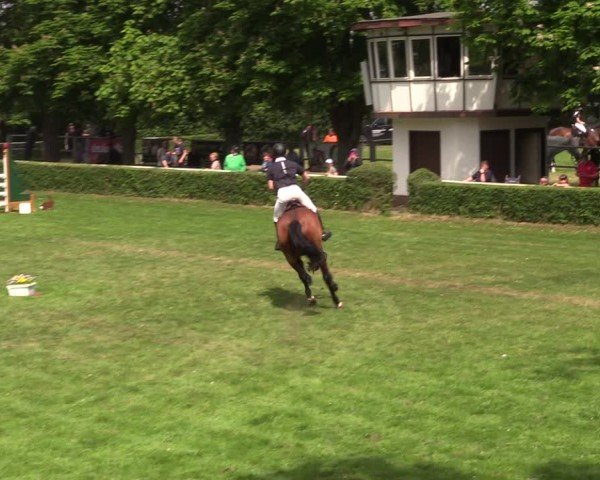 Reitturnier Westeregeln 2024