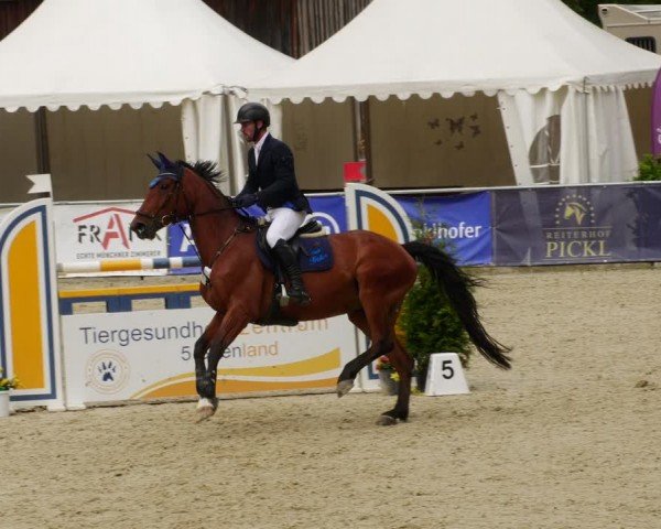 Reitturnier Karlsfeld/Obb. 2024