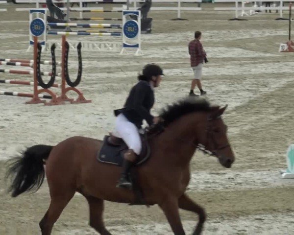 Reitturnier St. Margarethen 2024