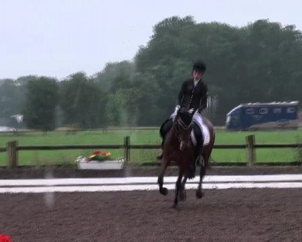 Weser Ems Meisterschaften Cloppenburg 2012