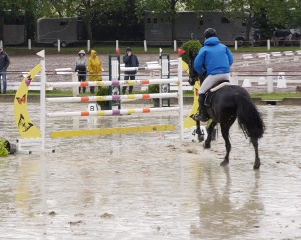 Reitturnier Forst 2024