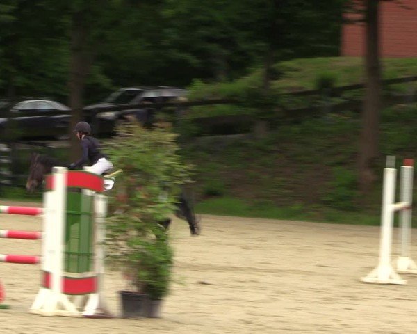 Reitturnier Iserlohn-Kalthof 2024