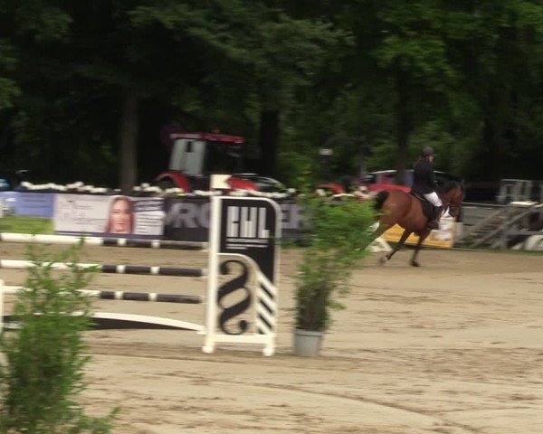 Reitturnier Iserlohn-Kalthof 2024