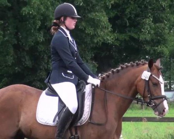Weser Ems Meisterschaften Cloppenburg 2012