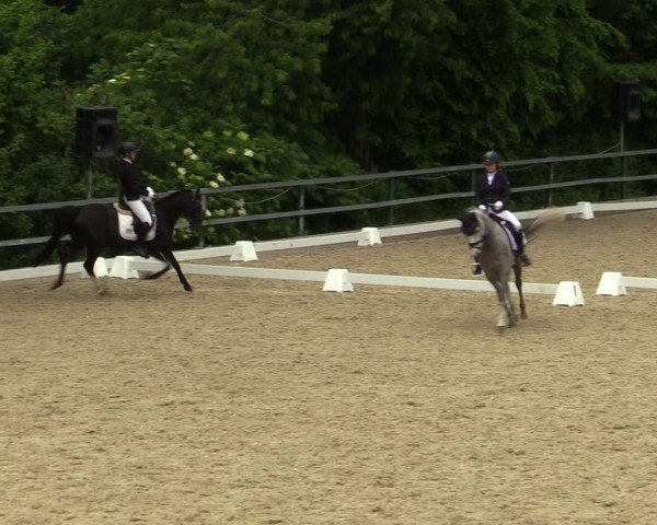 Reitturnier Iserlohn-Kalthof 2024