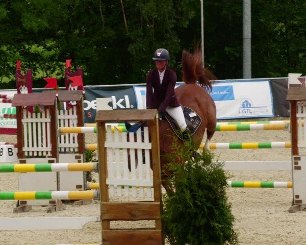 Reitturnier Karlsfeld/Obb. 2024