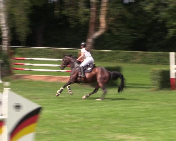 Reitturnier Westeregeln 2024