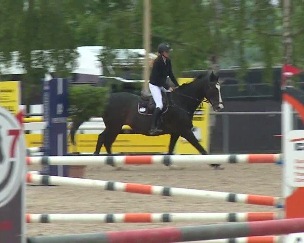 Reitturnier Landenhausen 2024