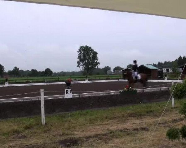 Weser Ems Meisterschaften Cloppenburg 2012