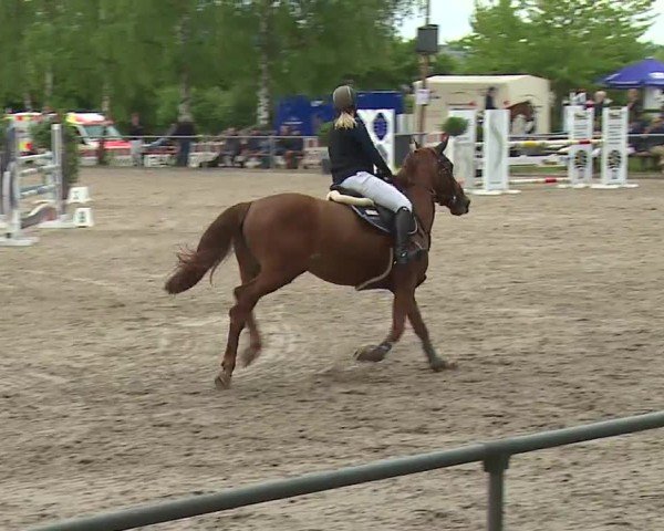 Reitturnier Landenhausen 2024