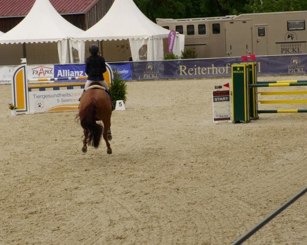 Reitturnier Karlsfeld/Obb. 2024