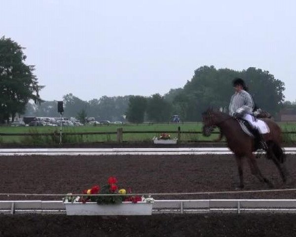 Weser Ems Meisterschaften Cloppenburg 2012