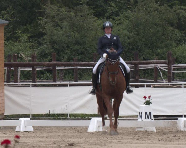 Reitturnier Frechen-Grefrath - Sonnenhof 2024