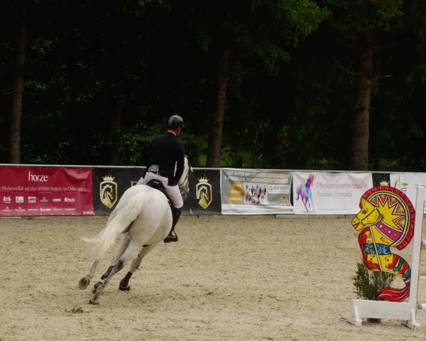 Reitturnier Karlsfeld/Obb. 2024