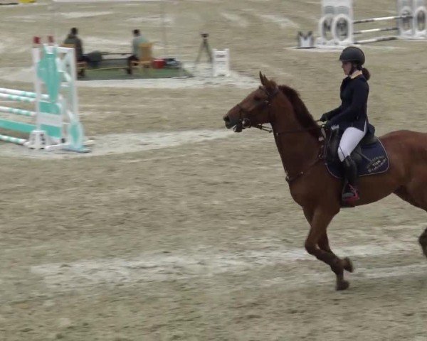 Reitturnier St. Margarethen 2024