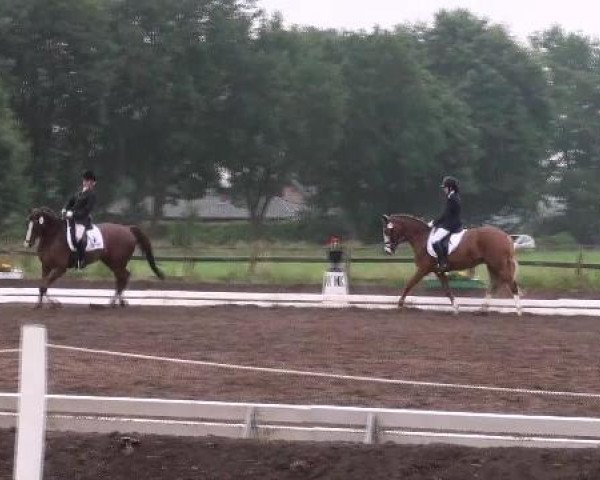 Weser Ems Meisterschaften Cloppenburg 2012