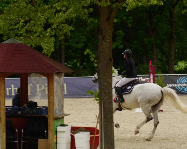 Reitturnier Karlsfeld/Obb. 2024