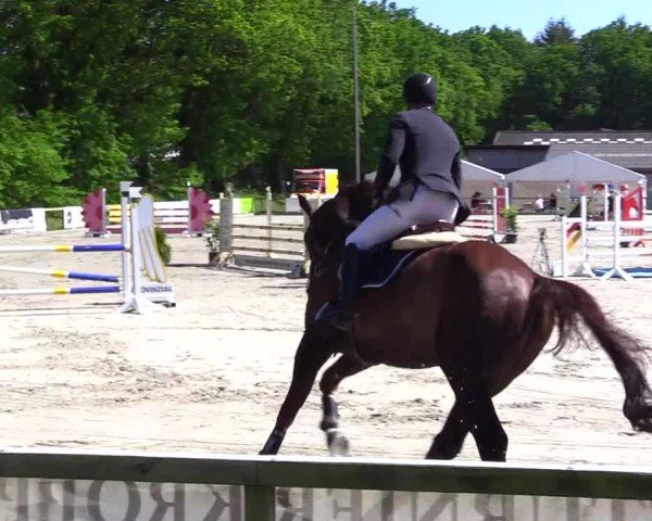 Reitturnier Kropp 2024