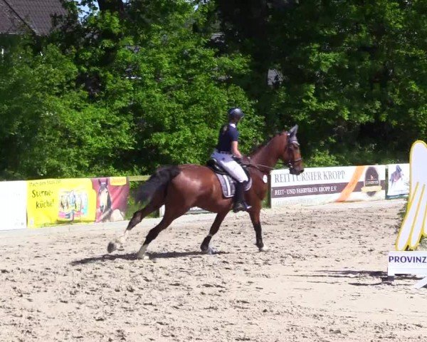 Reitturnier Kropp 2024