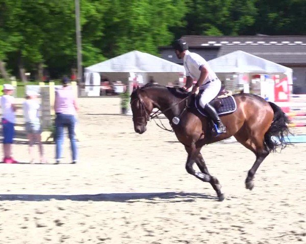 Reitturnier Kropp 2024