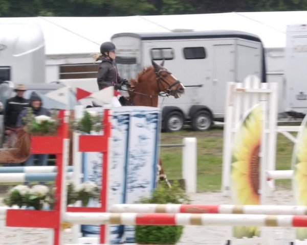 Reitturnier Forst 2024