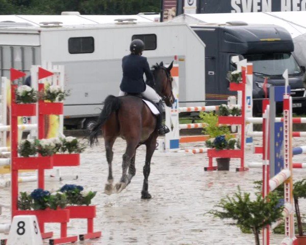 Reitturnier Forst 2024