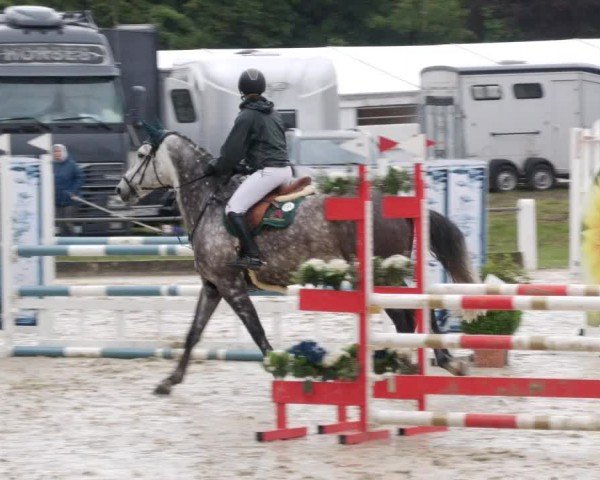 Reitturnier Forst 2024