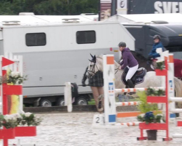 Reitturnier Forst 2024