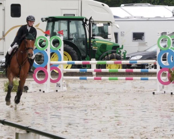 Reitturnier Forst 2024