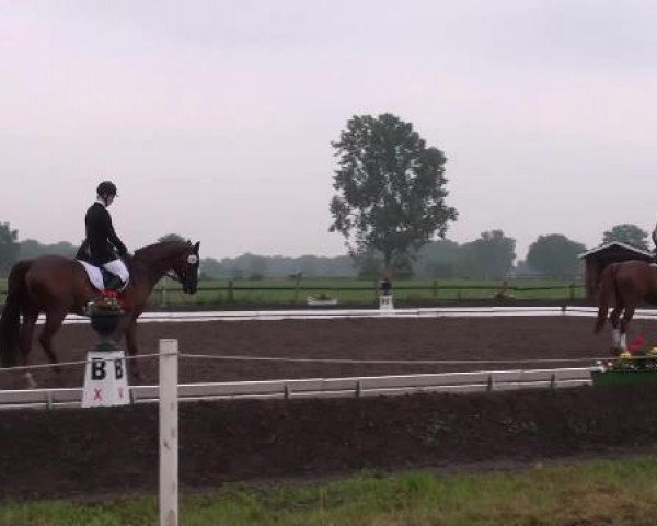 Weser Ems Meisterschaften Cloppenburg 2012