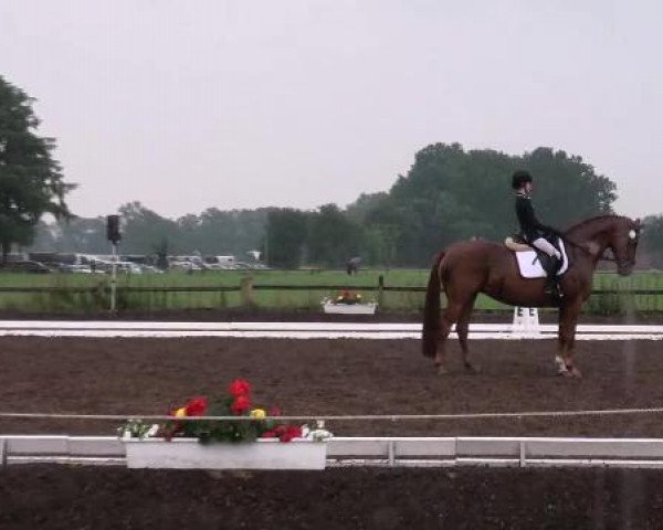 Weser Ems Meisterschaften Cloppenburg 2012