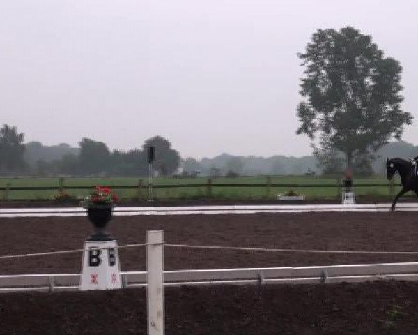 Weser Ems Meisterschaften Cloppenburg 2012