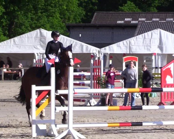Reitturnier Kropp 2024