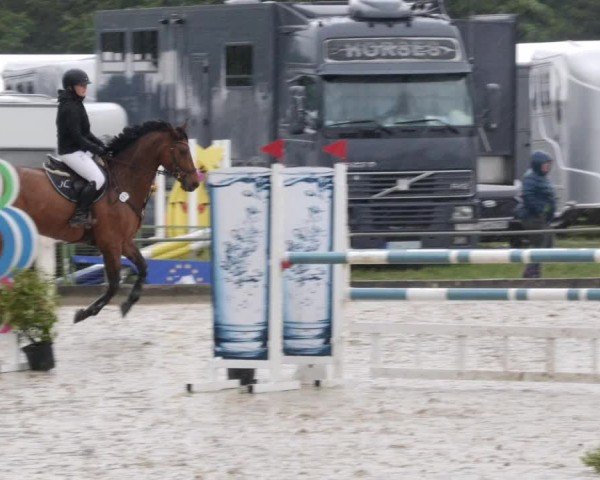Reitturnier Forst 2024