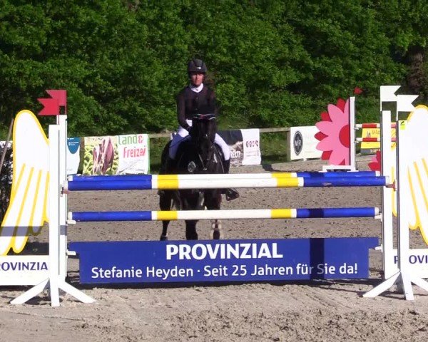Reitturnier Kropp 2024