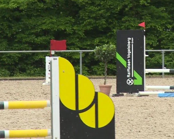 Reitturnier Landenhausen 2024