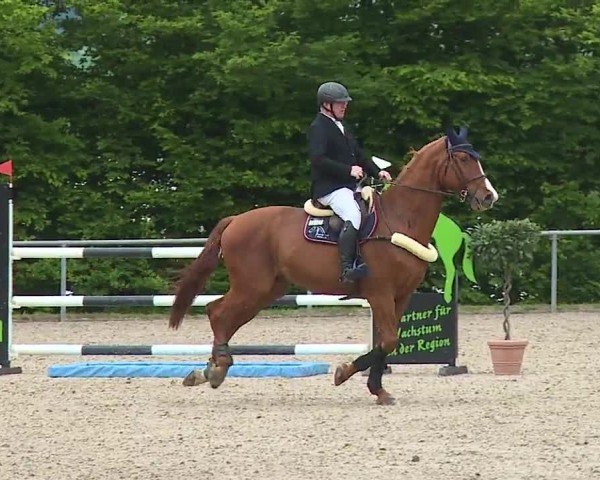 Reitturnier Landenhausen 2024