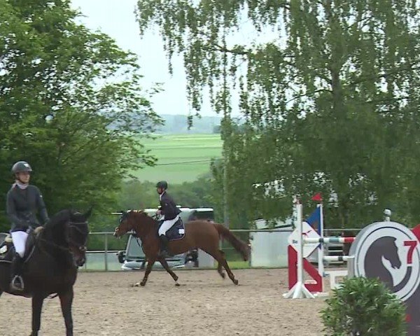 Reitturnier Landenhausen 2024